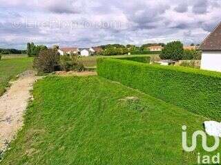 Photo 2 - Terrain à MAUCHAMPS