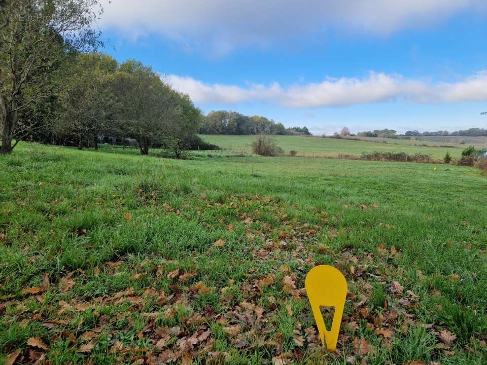 Terrain à SAINT-LOUBES