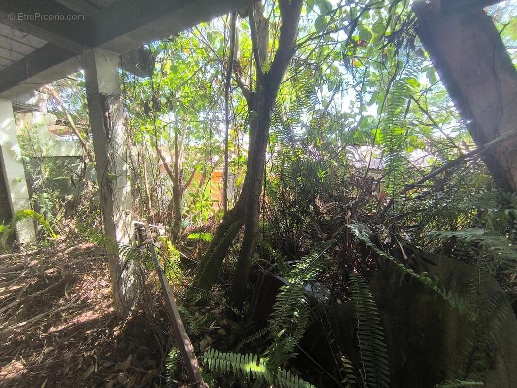 Photo 4 - Maison à FORT-DE-FRANCE