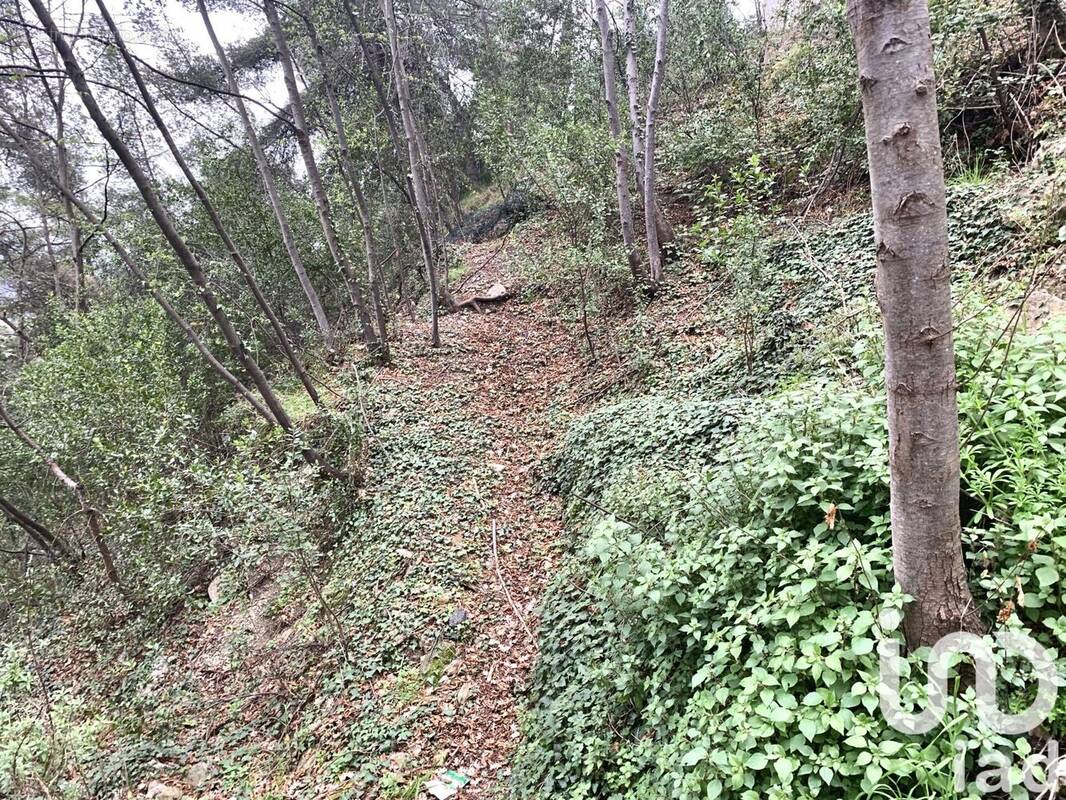 Photo 1 - Terrain à GORBIO