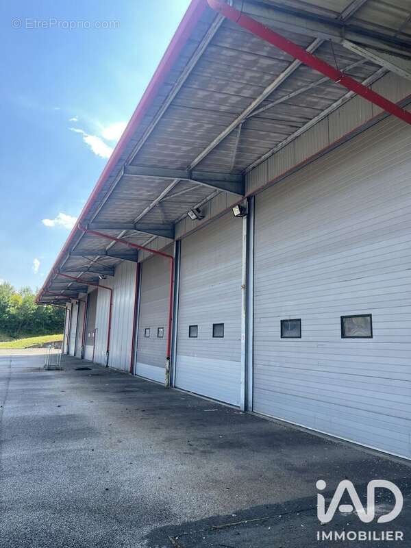 Commerce 2200 m² à Bourg-En-Bresse  - photo 2