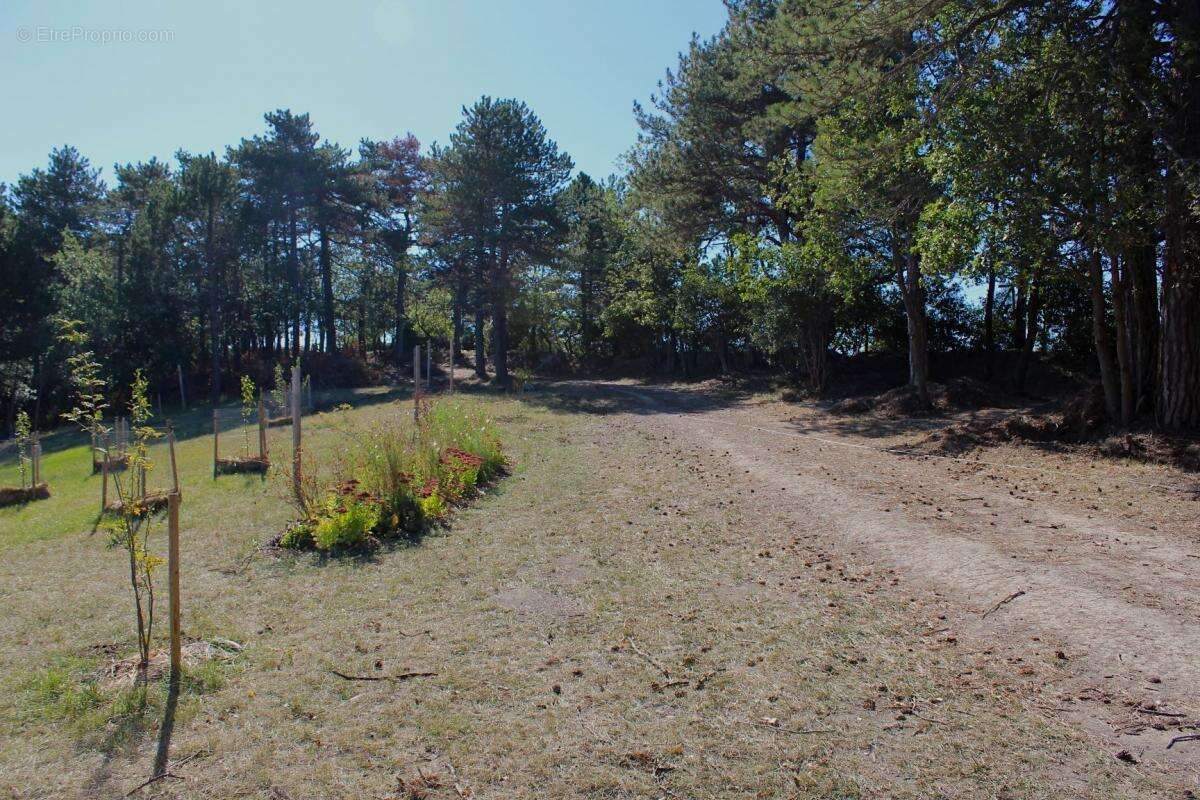 Mas/ferme rénové avec 6 chambres et 23 hectares de terrain - photo 27