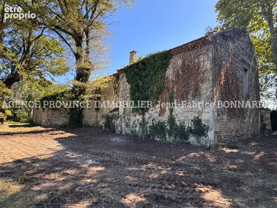 Maison 90 m² à Saint-Paul-Trois-Chateaux  - photo 12