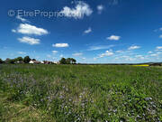 Terrain à SEPTEUIL