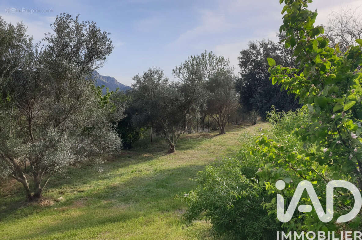 Photo 4 - Maison à AURIOL