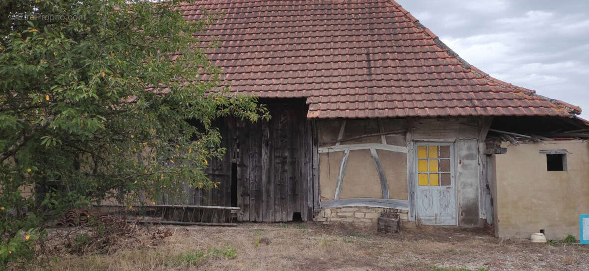 Maison à SAINT-MARTIN-EN-BRESSE