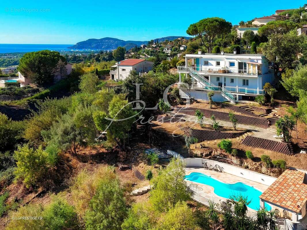 Maison à MANDELIEU-LA-NAPOULE