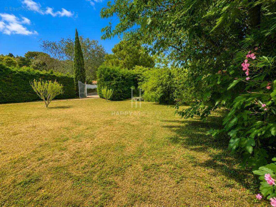 Maison de Plain Pied dans les Alpilles - photo 4