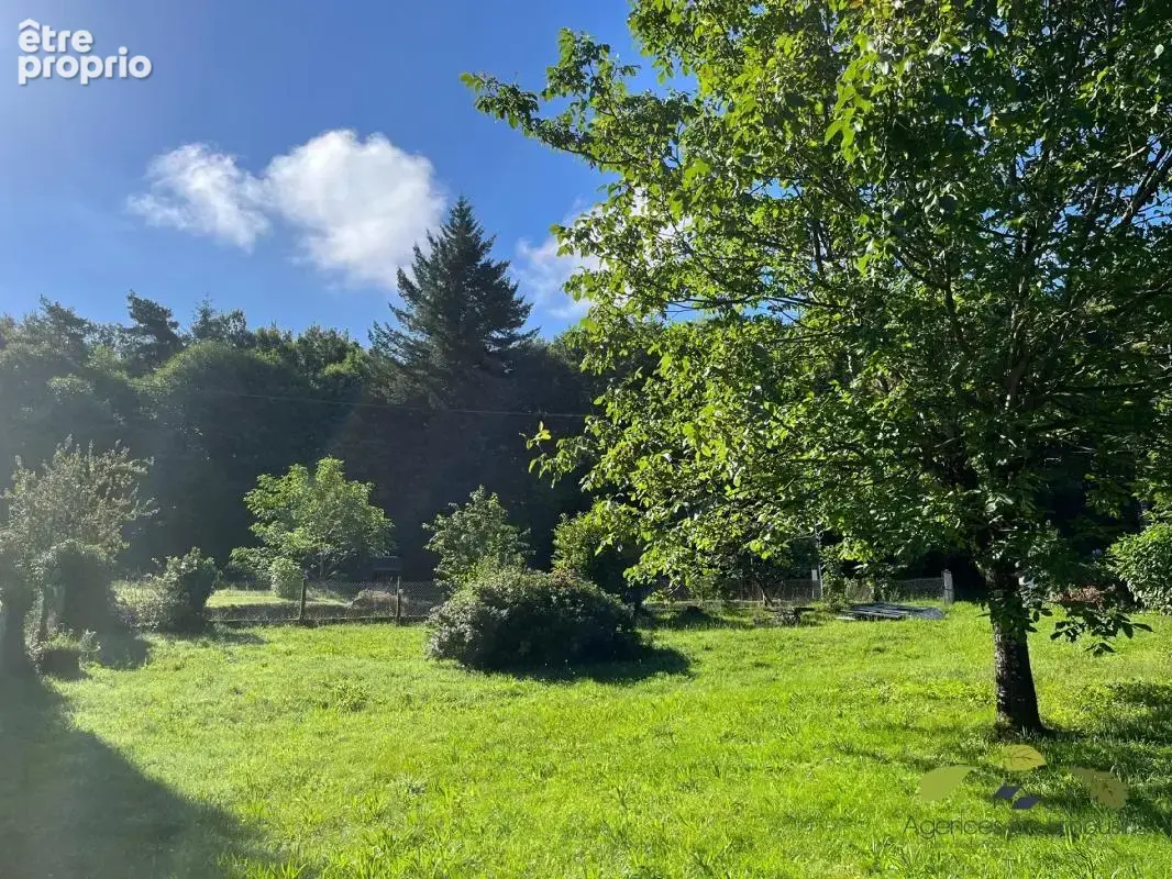 Terrain de loisirs - photo 4