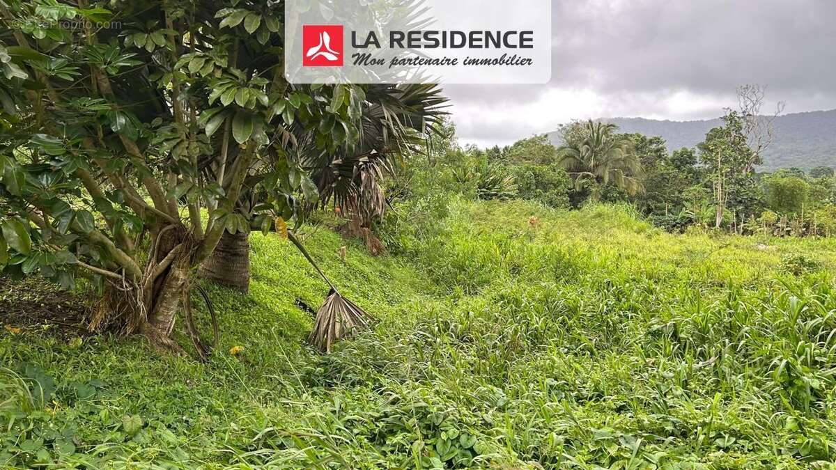 Terrain 707 m² à Le Morne-Rouge  - photo 7