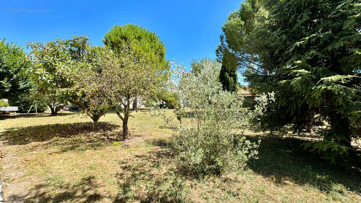 Terrain à ENTRAIGUES-SUR-LA-SORGUE