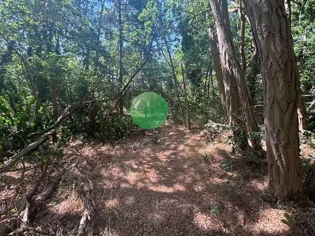 Soisy sur ecole - proche milly la foret - photo 6