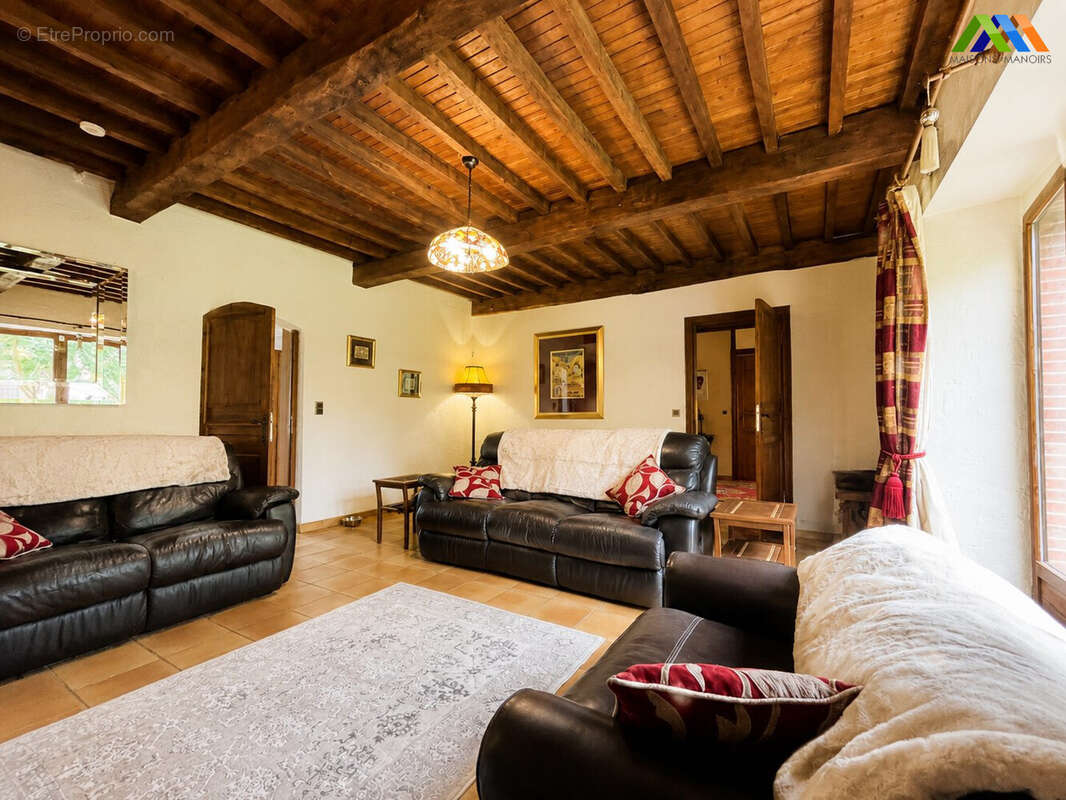 Maison 450 m² à Vic-En-Bigorre  - photo 3