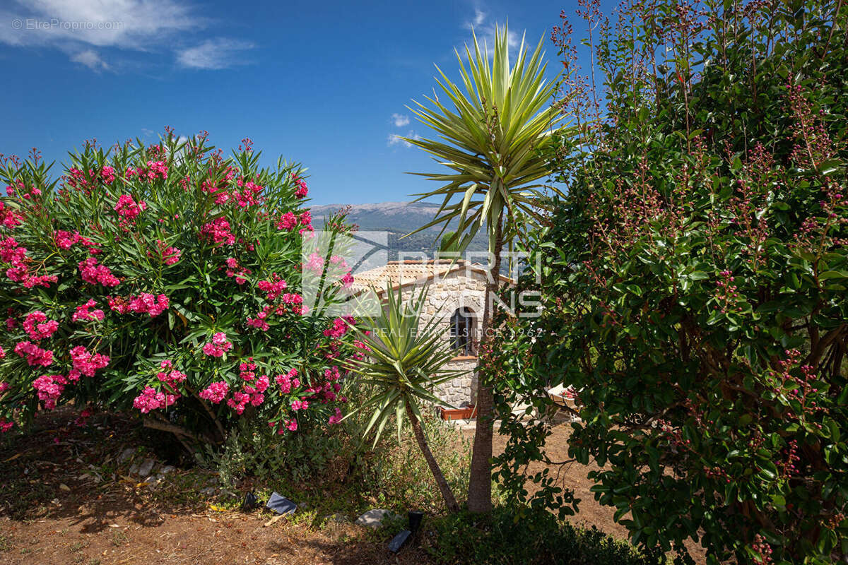 Maison à PEYMEINADE