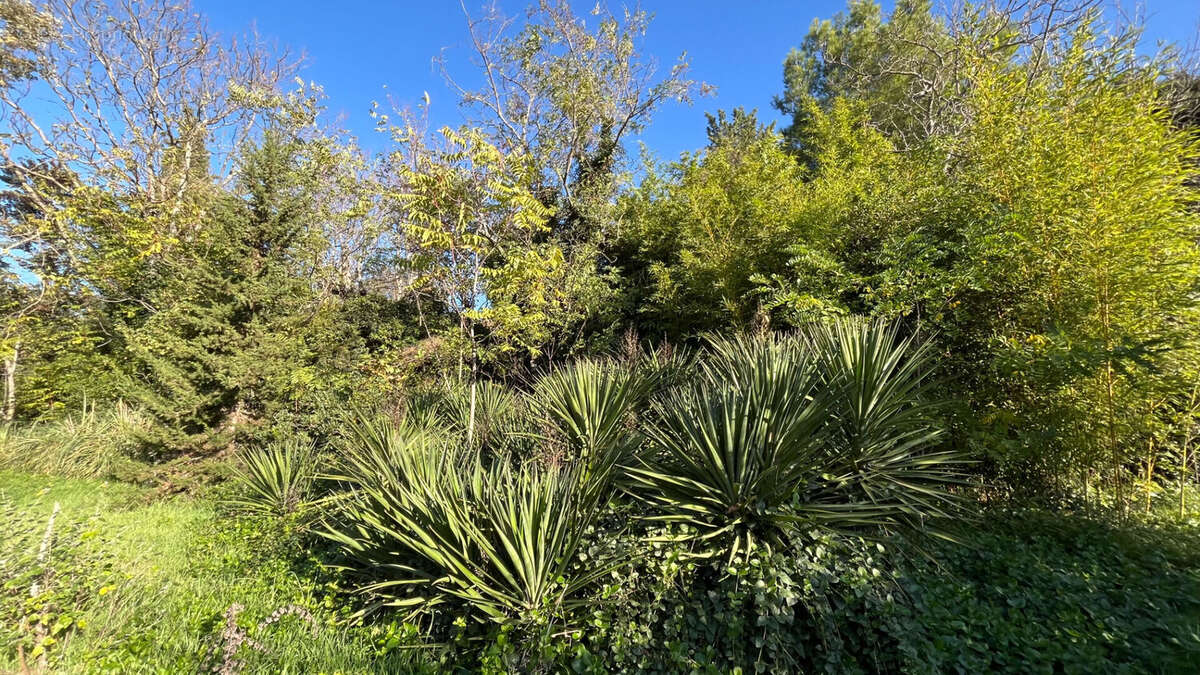 Photo 9 - Maison à APT