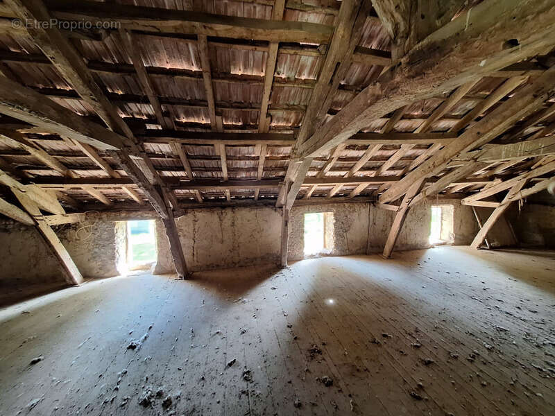 Corps de ferme à aménager avec dépendances et plus de 7 000 m² de terrain  Plaisance-du-Gers - photo 21