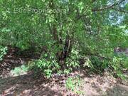 Terrain à TERRE-DE-BAS