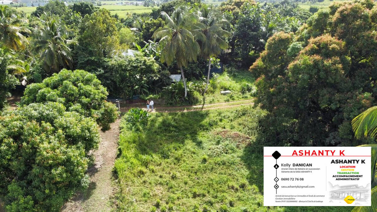 Terrain à LES ABYMES