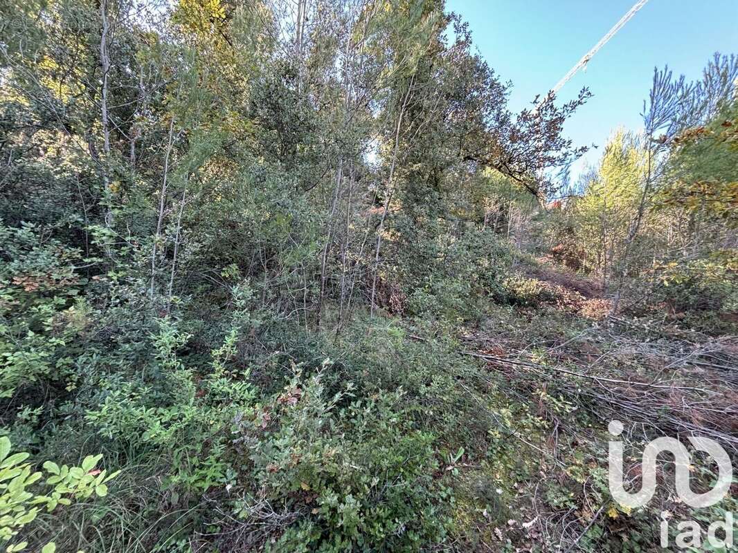 Photo 2 - Terrain à FLASSANS-SUR-ISSOLE