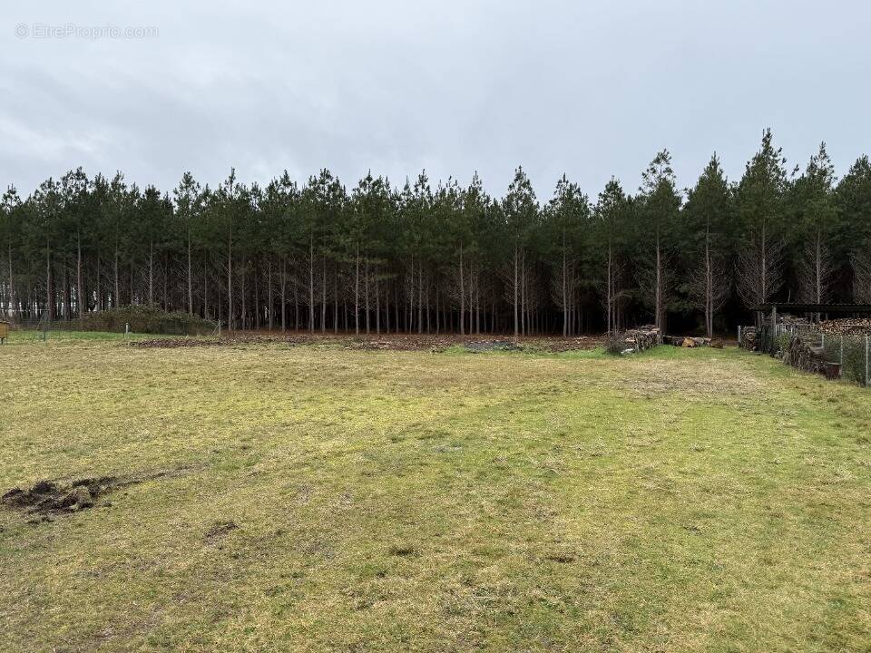 Terrain à LE TEMPLE
