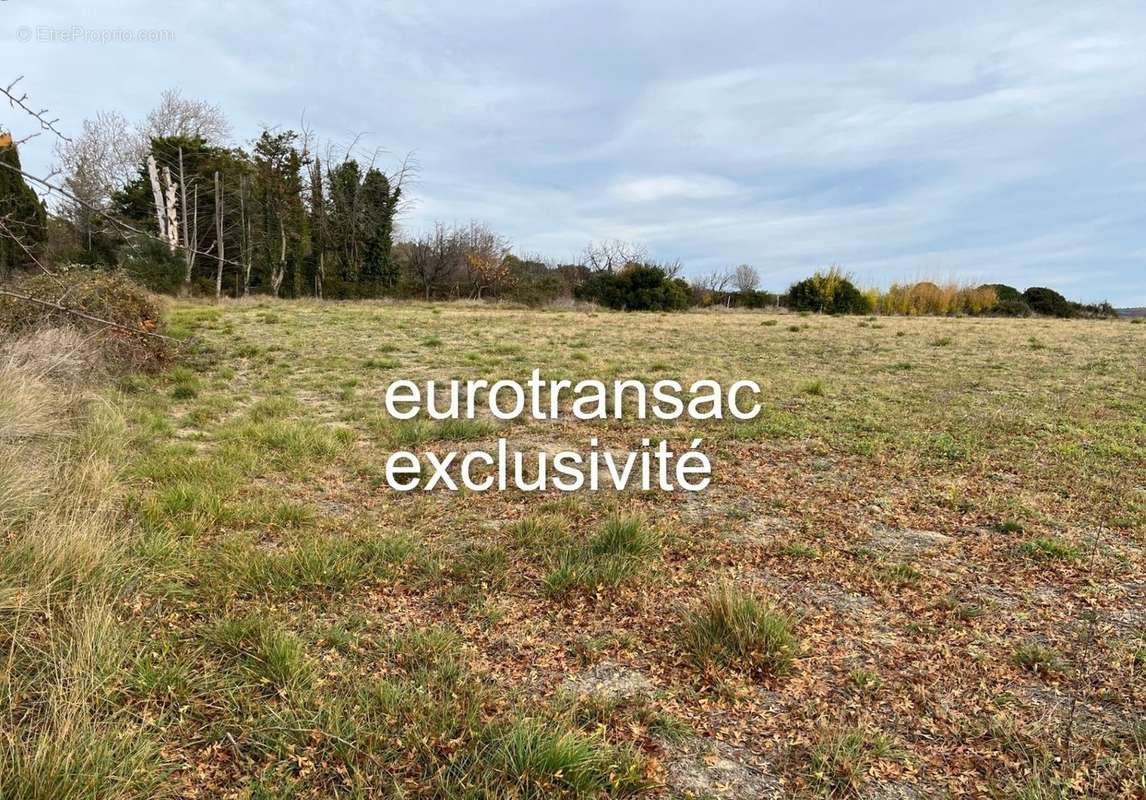 Terrain à MONTBAZIN