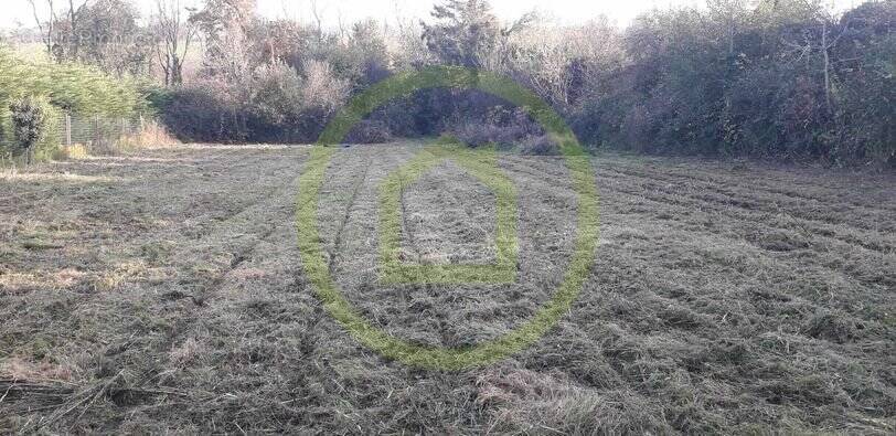 Terrain à OFFRETHUN