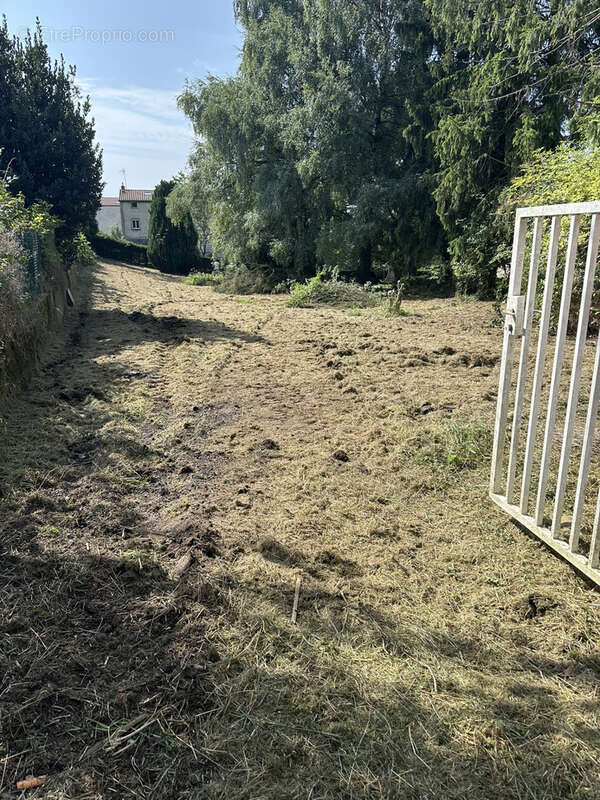 Terrain à SAINT-JUST-MALMONT