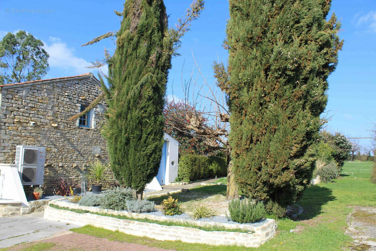 Maison à CHAILLE-LES-MARAIS