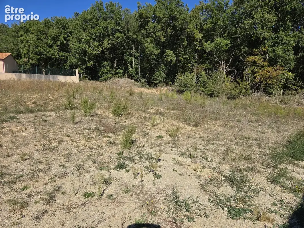 Terrain 1 223 m² à vendre à Valdivienne (86300) - photo 2
