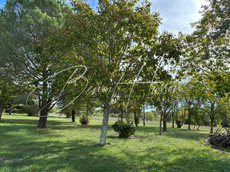 Maison à CINTEGABELLE