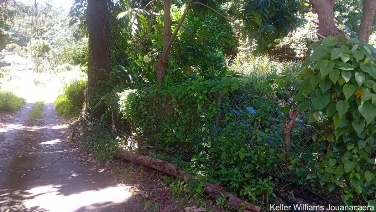 Terrain à LE ROBERT