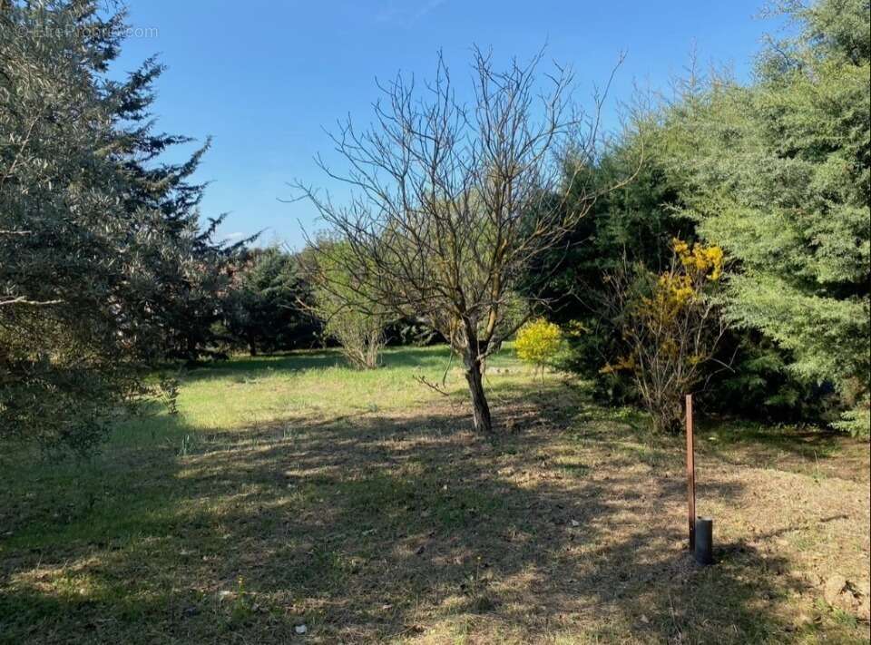 Terrain 2122 m² à Saint-Maximin-La-Sainte-Baume  - photo 4