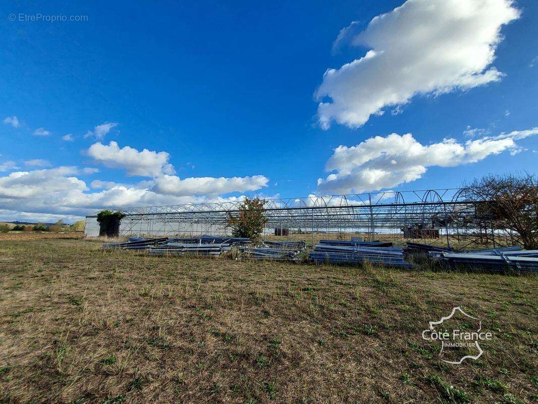 Terrain à LONGUEVILLE