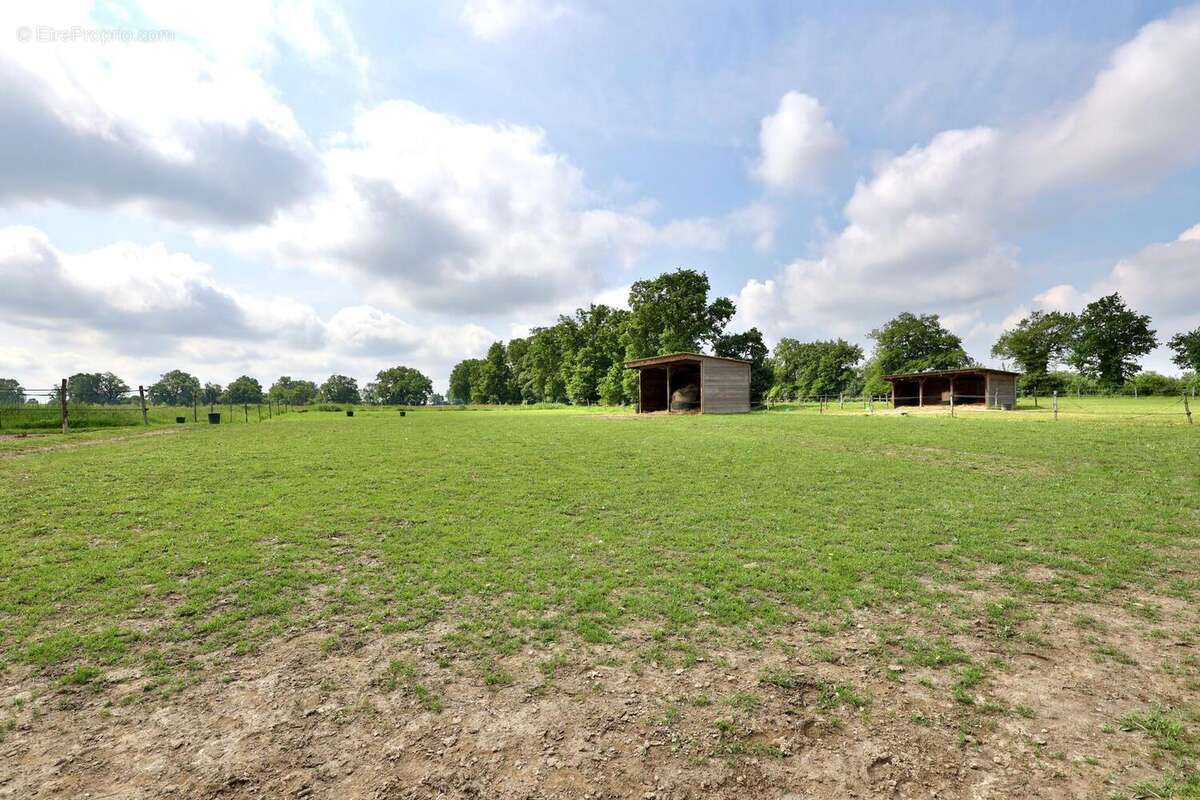 Photo 7 - Maison à BOURG-EN-BRESSE