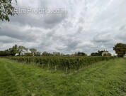Terrain à SAINT-EMILION