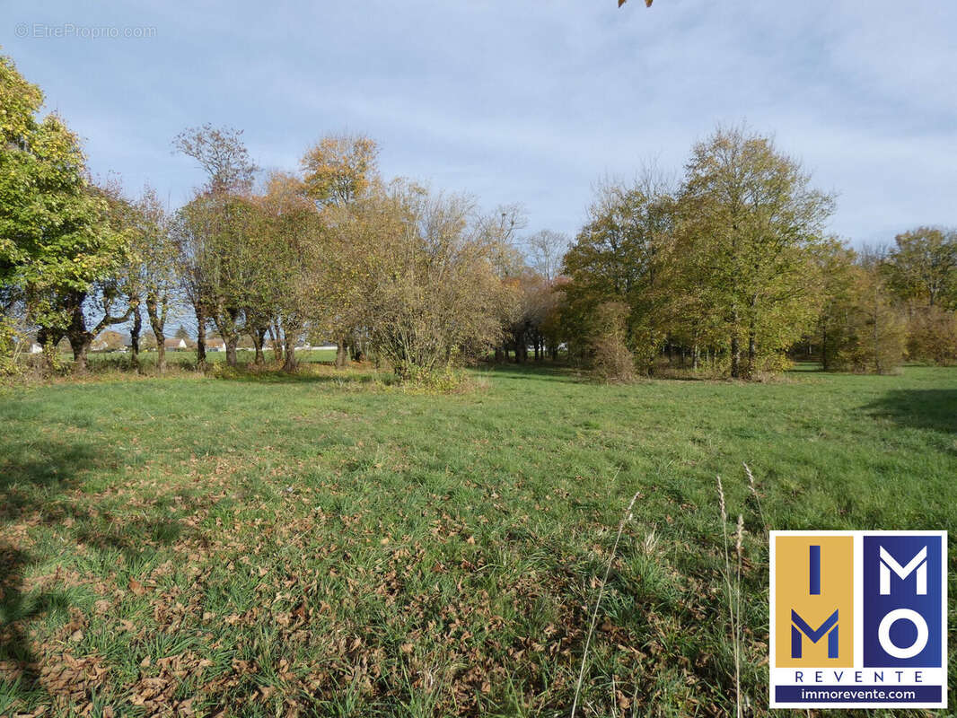 Terrain à SAINTE-SOLANGE