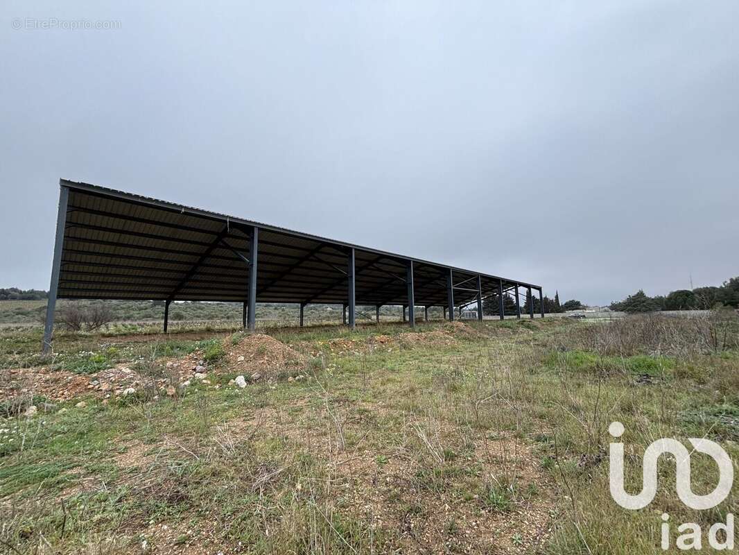 Photo 4 - Terrain à SIGEAN