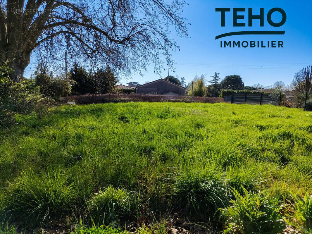 Terrain à COUFOULEUX