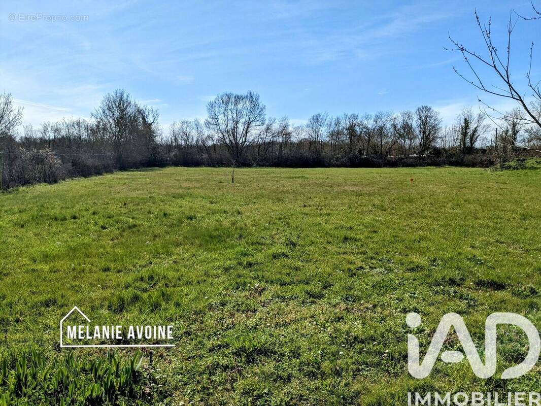 Photo 1 - Terrain à CIRE-D'AUNIS