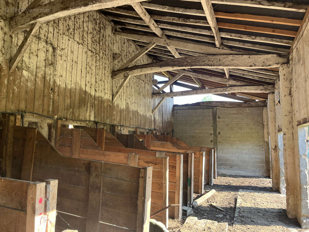 Maison à BAZAS