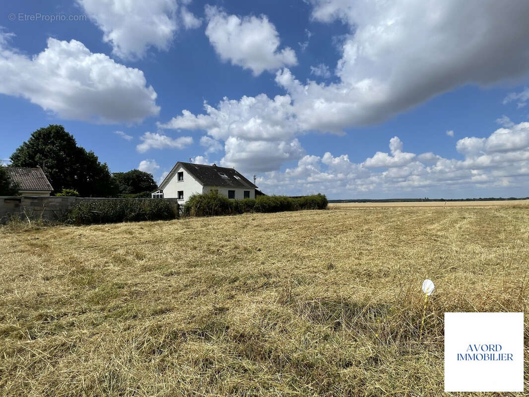 Terrain 985 m² à Farges-En-Septaine  - photo 2