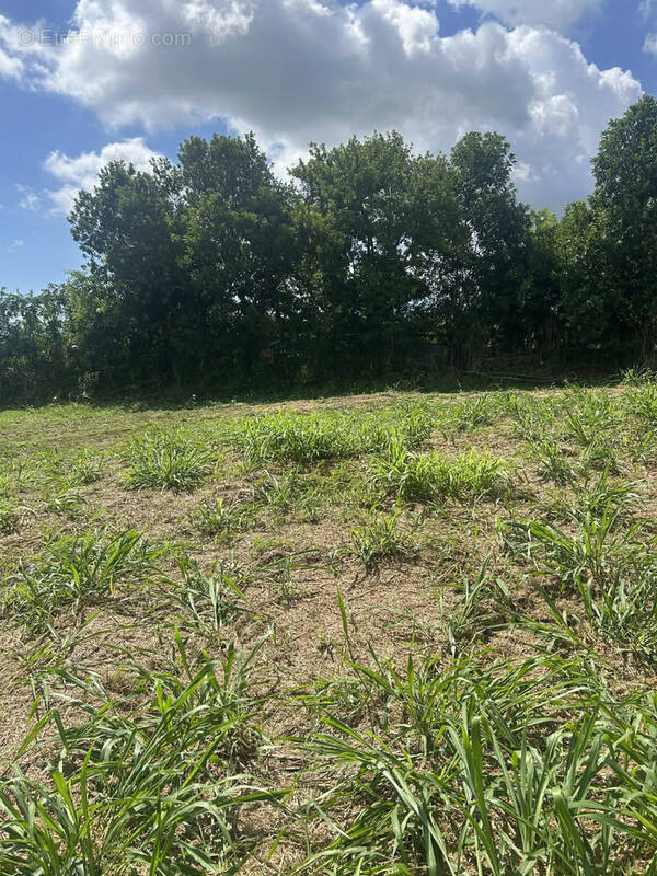 Terrain à SAINT-DENIS