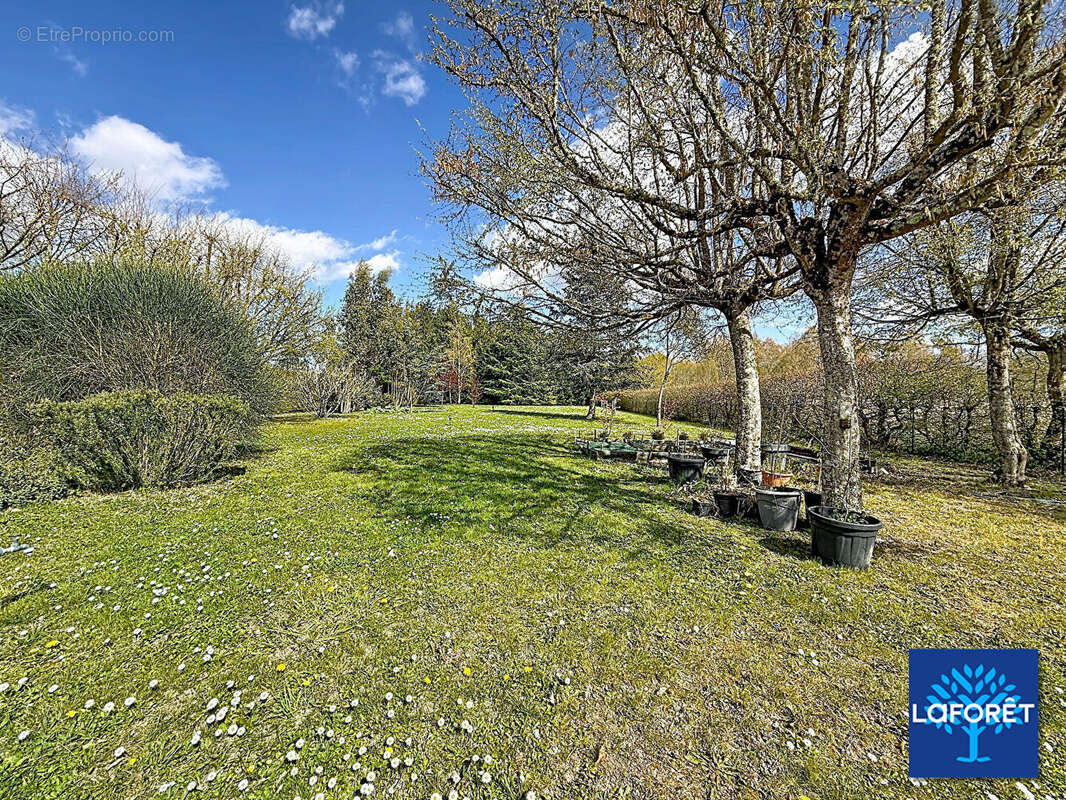 Maison à MONT-PRES-CHAMBORD