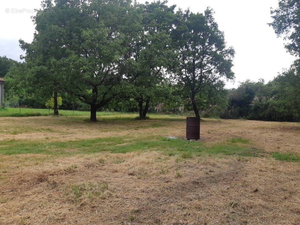 Terrain à BRESSOLS
