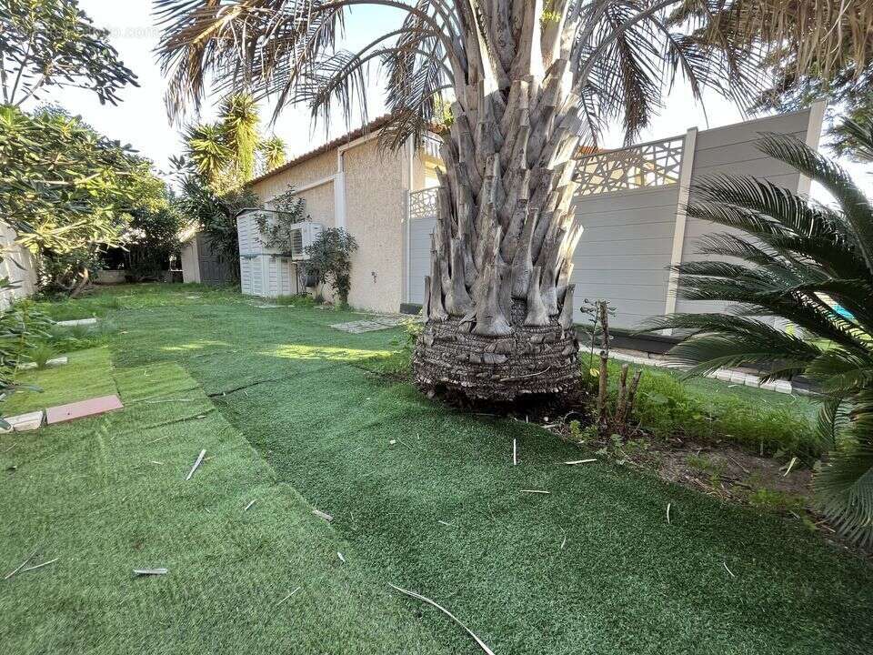 Sausset-les-pins jardin - Maison à SAUSSET-LES-PINS