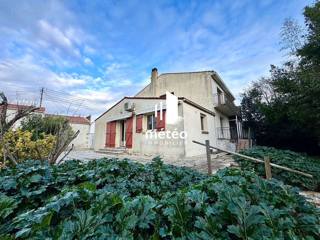Maison à LUCON