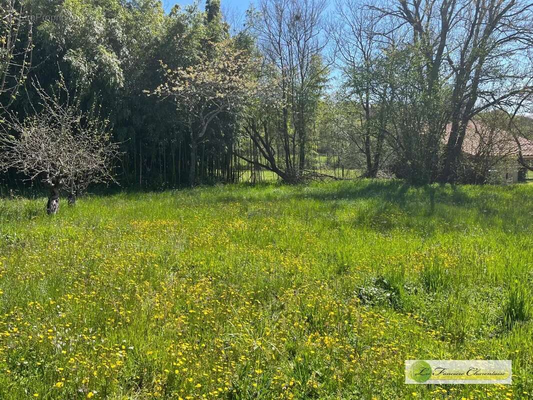 Terrain à RUELLE-SUR-TOUVRE