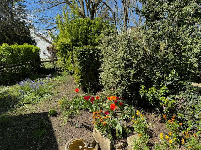 Maison à VILLENNES-SUR-SEINE