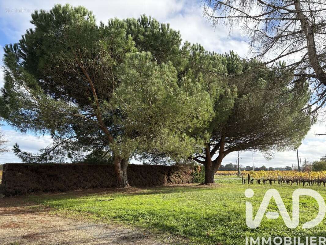 Photo 2 - Maison à LUSSAC