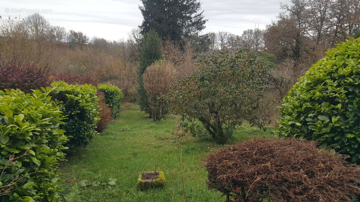 Maison à ROYERE-DE-VASSIVIERE